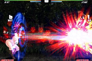 爆衣战士5:黑暗武斗会 -豪华完整版V1.2hotfix-(官中+DLC)
